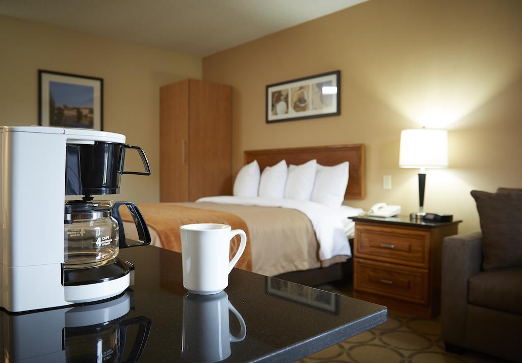 Comfort Inn Edmundston Exterior foto